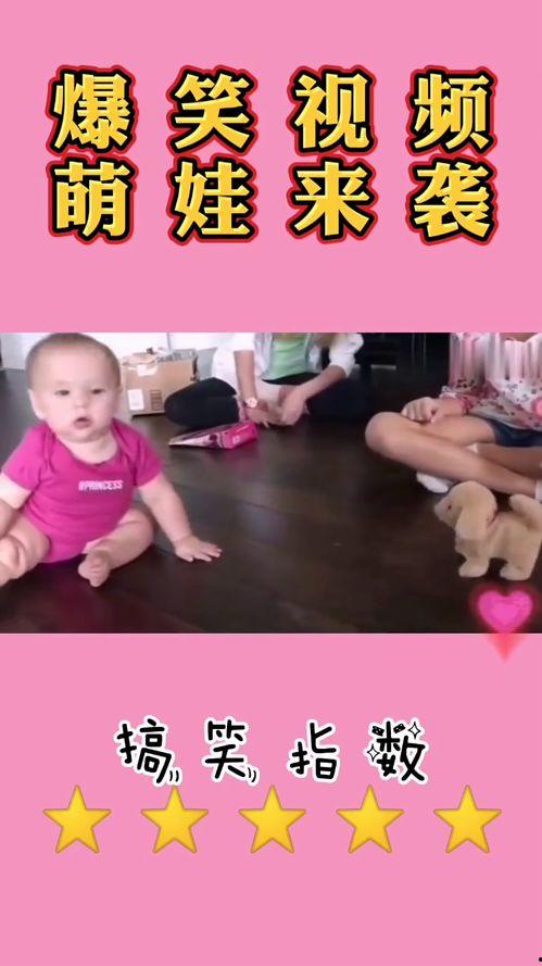 娃娃爆料最新搞笑视频下载,最新搞笑视频合集，笑到肚子疼！